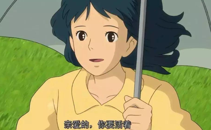 之后这些年我又看了风之谷,捕鲸记,龙猫,哈尔的移动城堡,幽灵公主,千