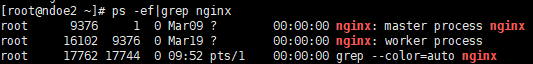linux中nginx的进程
