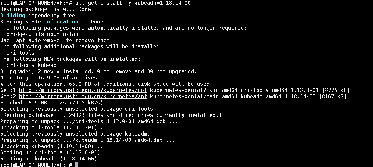 ubuntu安装kubeadm,kubelet,kubectl_ubuntu安装kubecmCSDN博客
