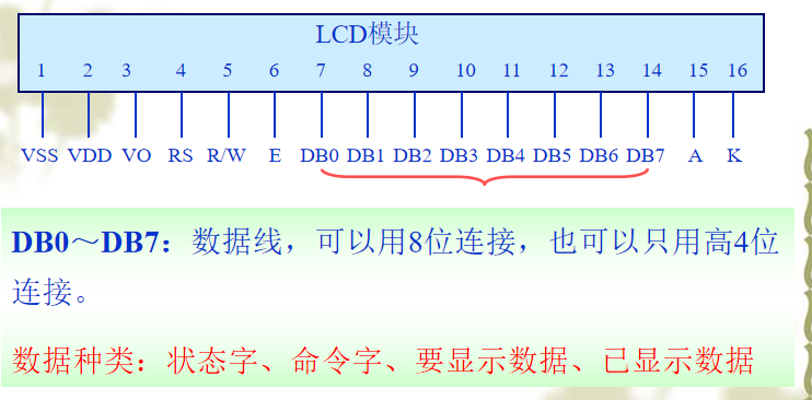 单片机——显示方式