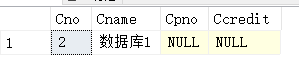 SQL Server 数据库实验课第三周——INDEX、INSERT、SELECT语句