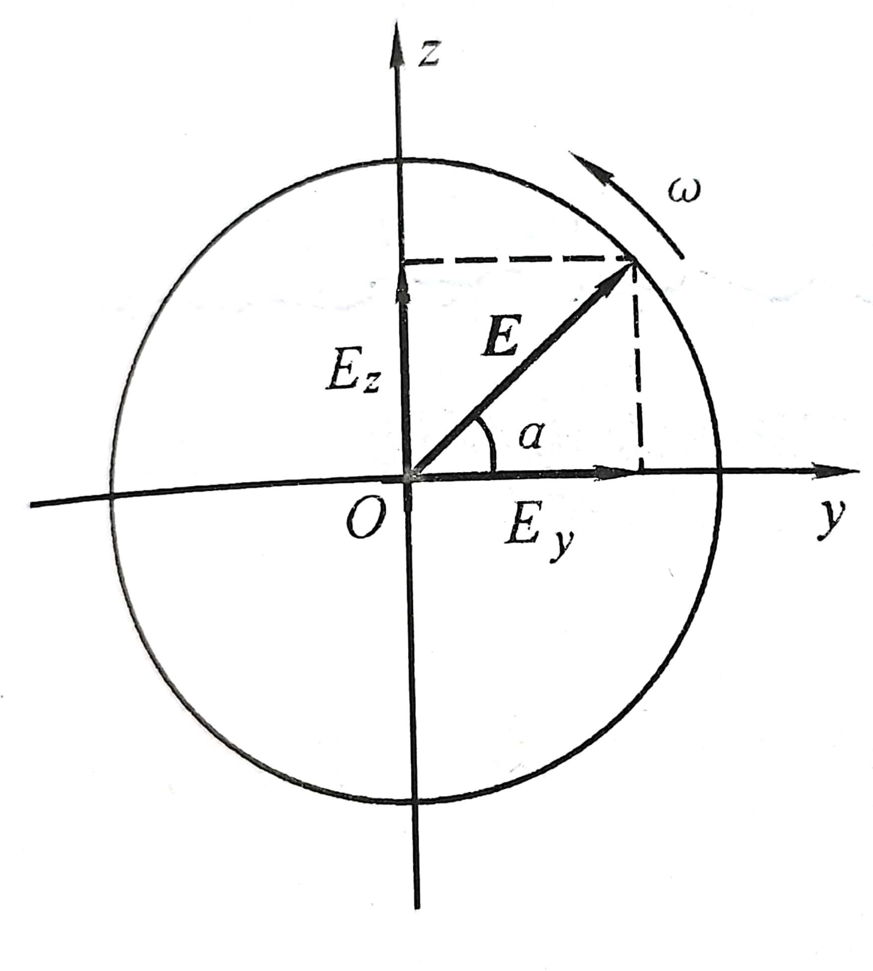 圆极化的平面电磁波