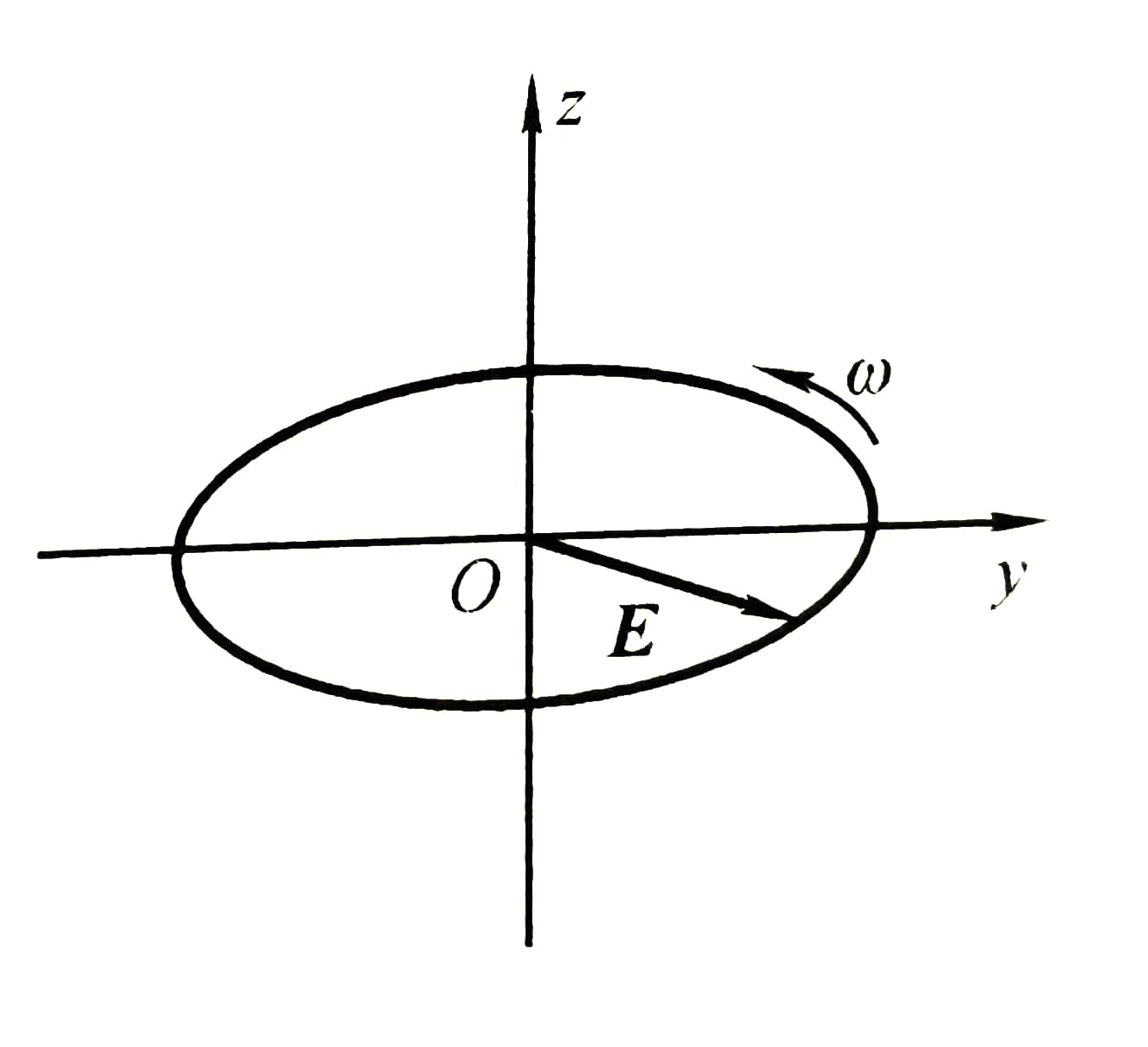 波的极化概念总结