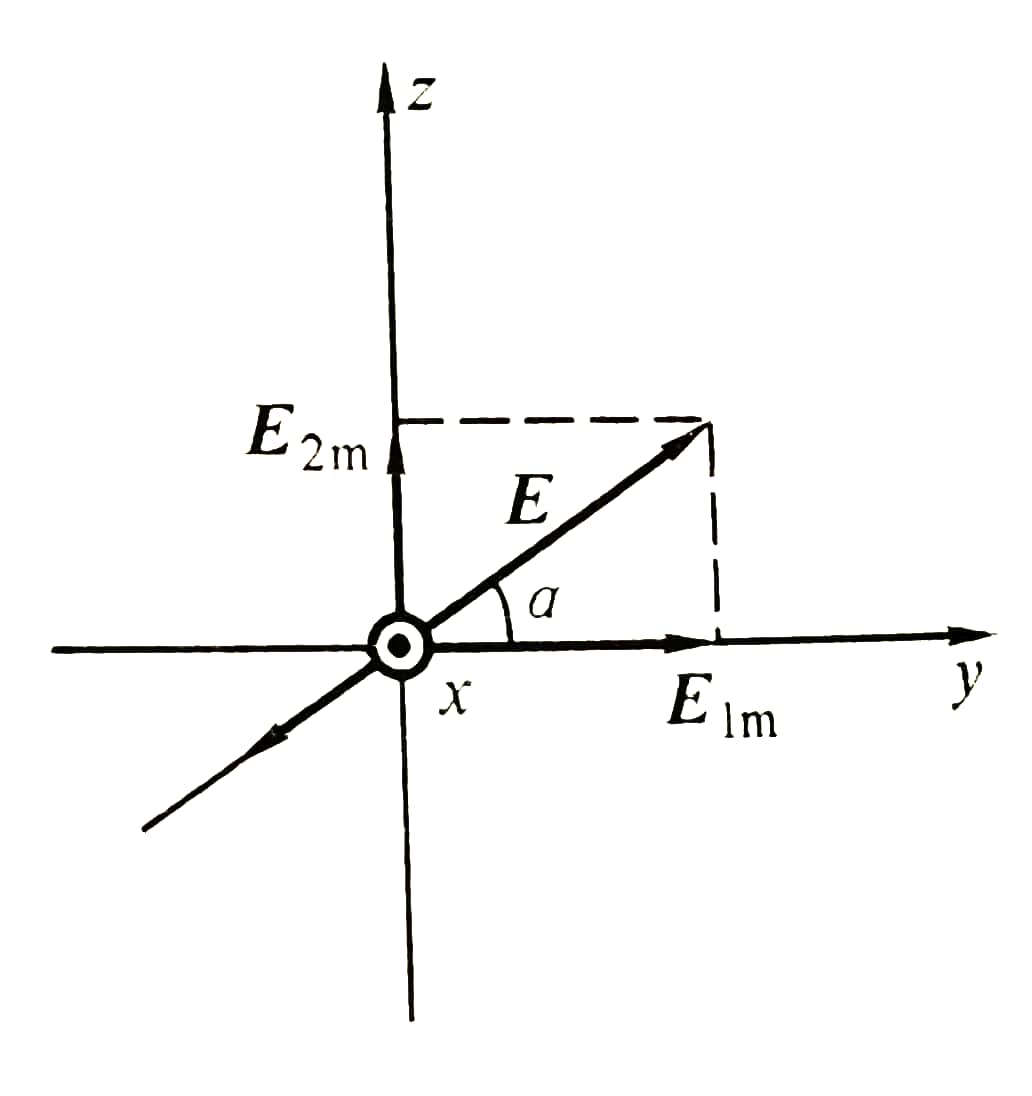 直线极化的平面电磁波