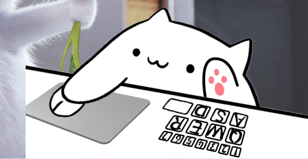 猫打键盘表情图片