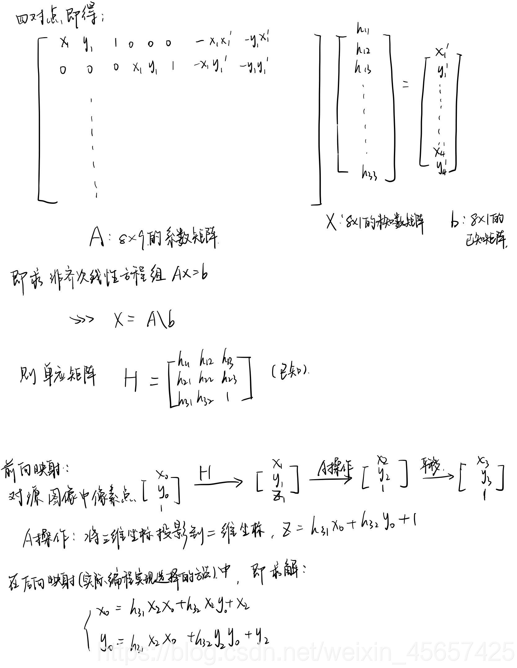 homo推导2