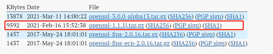 centos7 openssl-1.1.1j.tar.gz