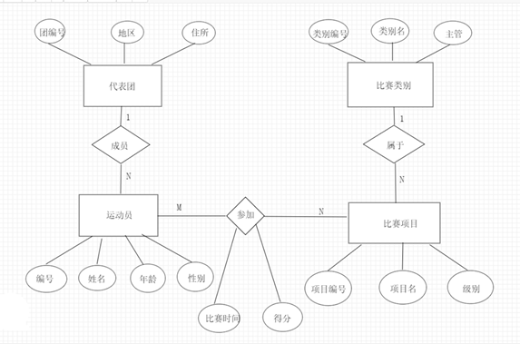 运动员属性有运动员编号, 姓