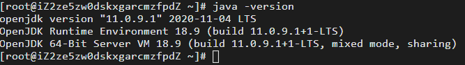 java -version