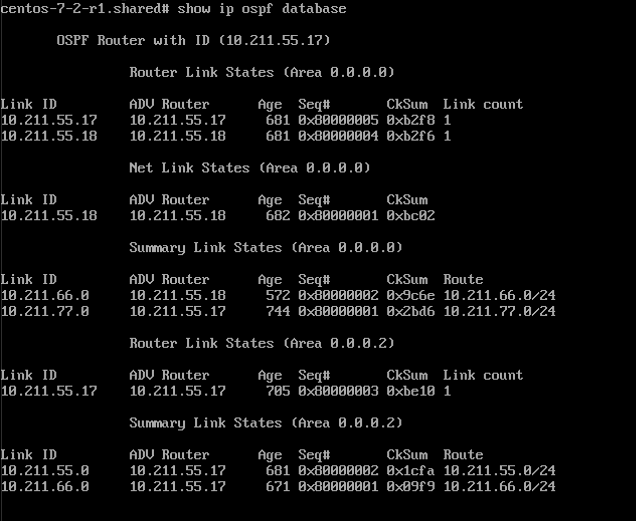 DNS+Anycast 均衡负载实战(IPV4)