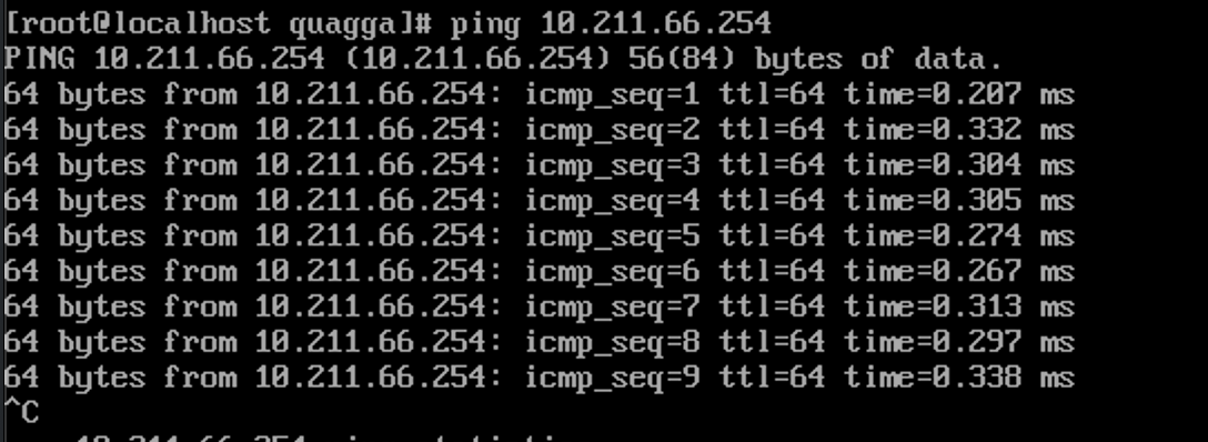 DNS+Anycast 均衡负载实战(IPV4)