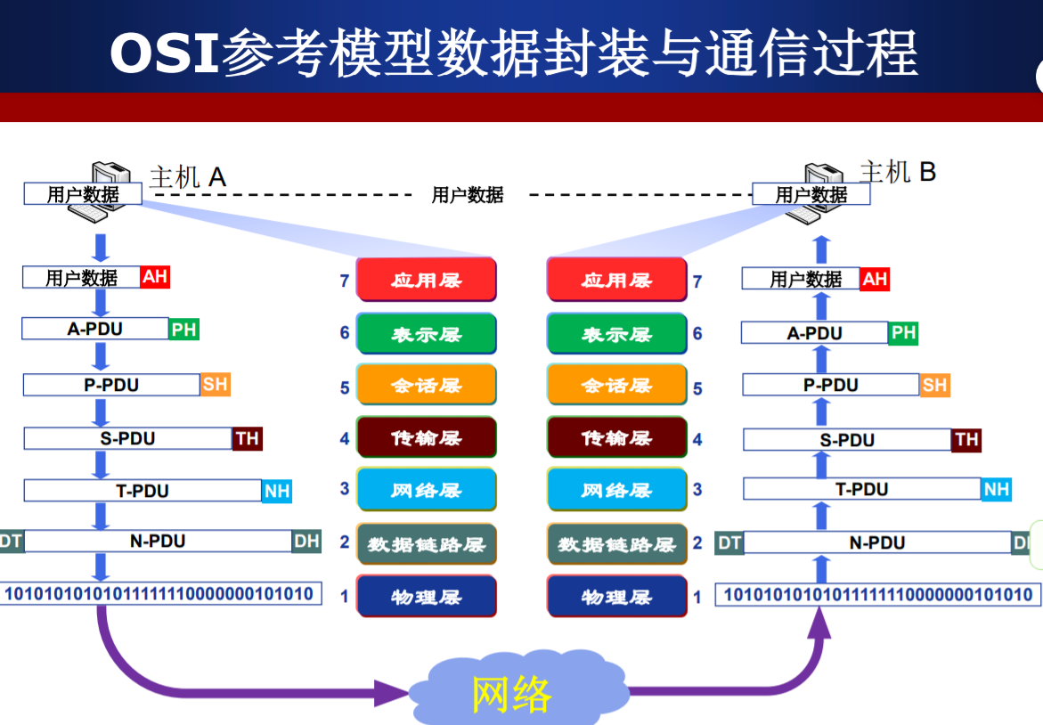 網絡體系結構,osi分層網絡模型,tcp/ip參考模型,五層參考模型_科氏加