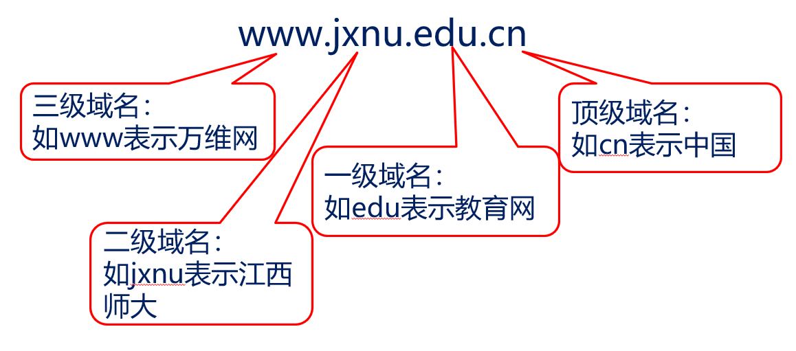 域名组成图片