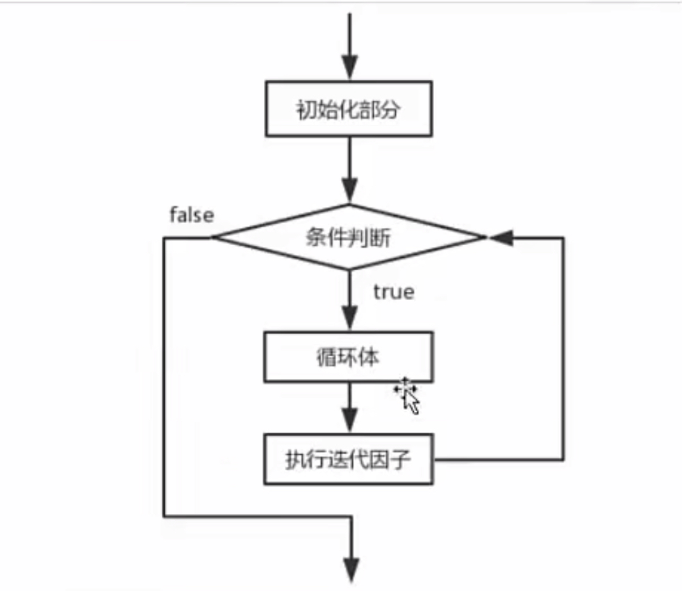 for循环结构