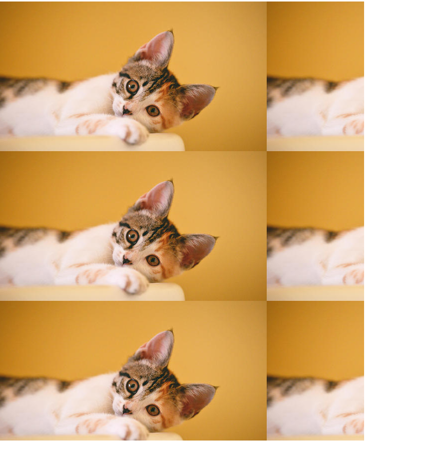 前端背景图片重复 平铺 居青的博客 Csdn博客