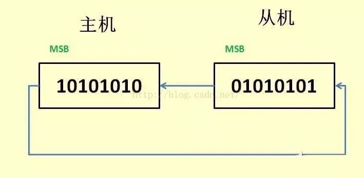 SPI 通信协议