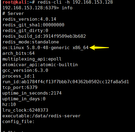 kali中装redis-cli