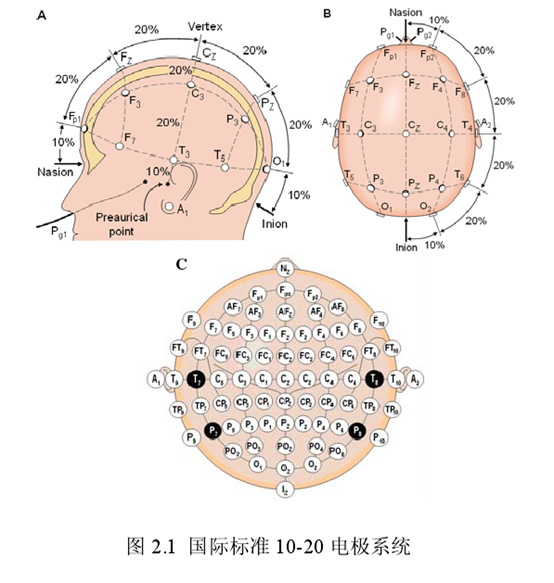 脑电图电极放置示意图图片