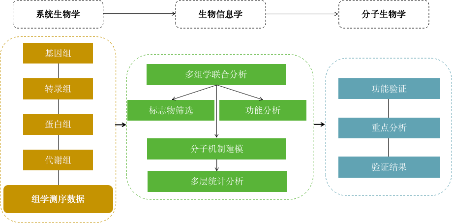 多组学联合分析整体思路_网药做完应该选哪条通路-CSDN博客