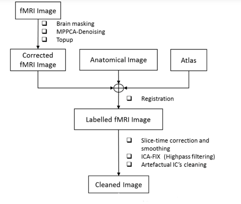 fMRI功能磁共振数据预处理流程图示