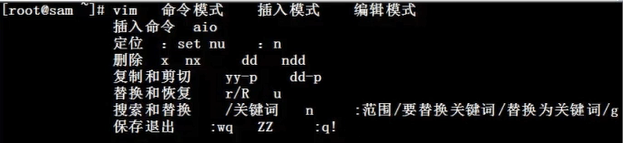 # 2021-03-30 Linux 文本编辑器 Vim-Vim 常用操作(上)