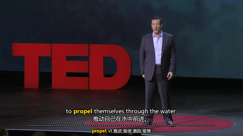 Ted演讲集ted视频打包下载 Mp4 中英字幕 Ted中英文对照字幕视频ted资料文档完整 有范管理美学 公众号 头条号 有范管理美学 Csdn博客