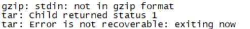 not in gzip format