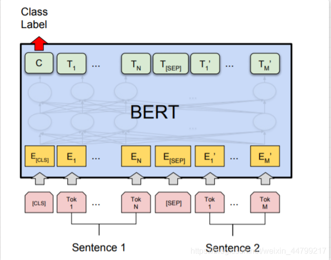 bert模型