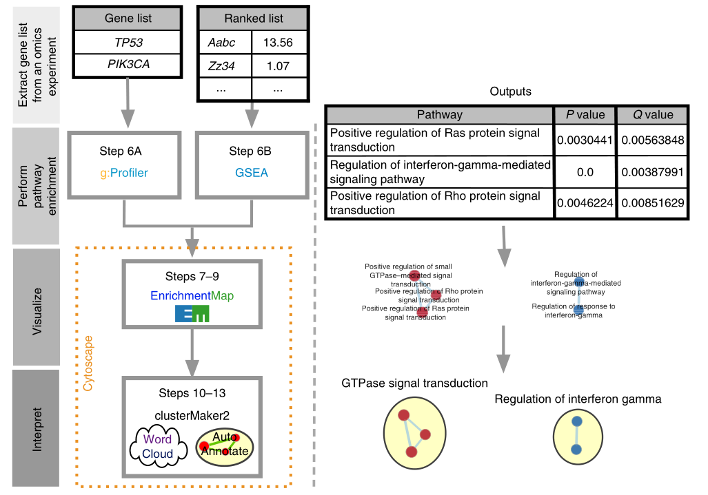 用网络图展示富集分析_富集通路与差异基因的网络关系图-CSDN博客