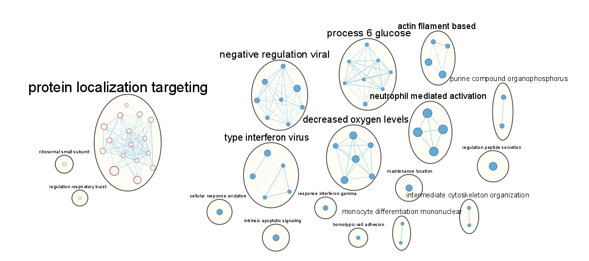 用网络图展示富集分析_富集通路与差异基因的网络关系图-CSDN博客