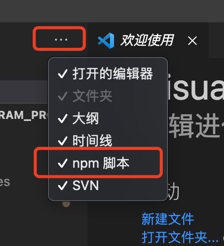 vscode中npm脚本