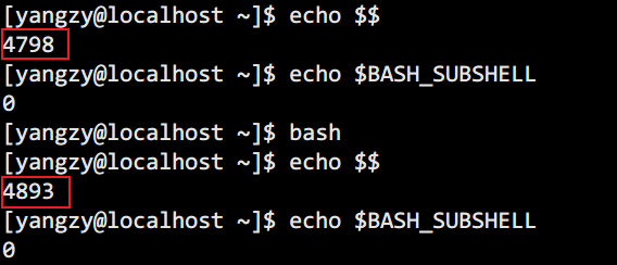 父shell和子shell_父子shell-CSDN博客