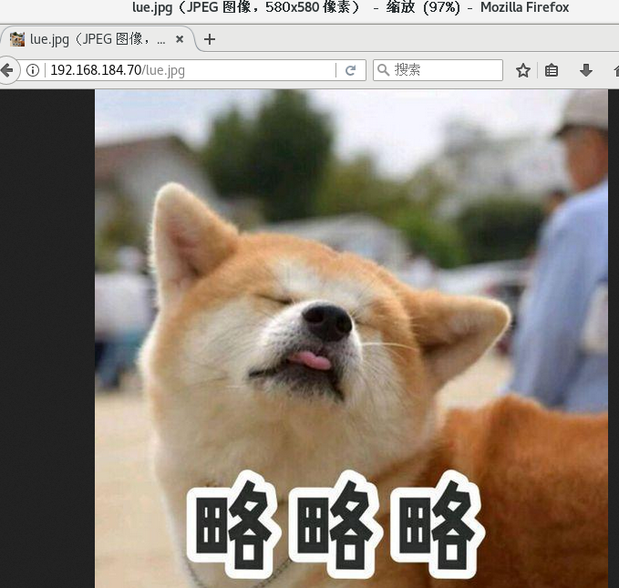 nginx tomcat负载均衡,动静分离_ng负载均衡_小白的成功进阶之路的