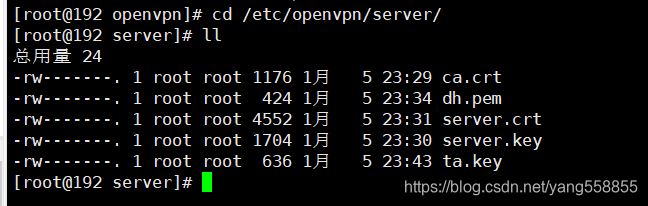 公司内网openvpn部署准备环境编号服务器名称网 - 图27