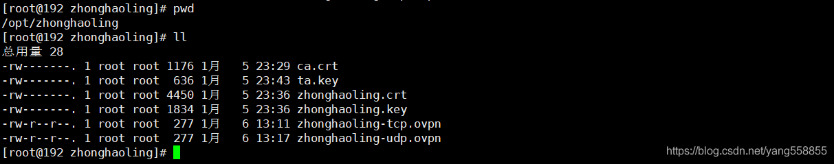 公司内网openvpn部署准备环境编号服务器名称网 - 图42