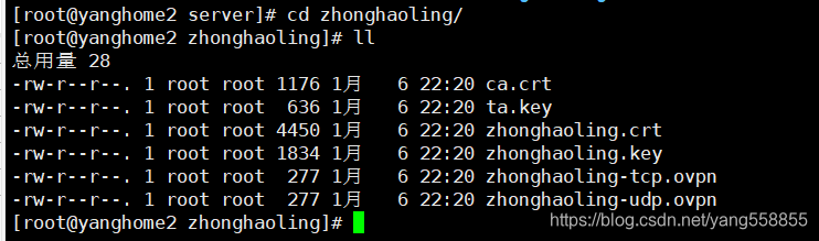 公司内网openvpn部署准备环境编号服务器名称网 - 图58