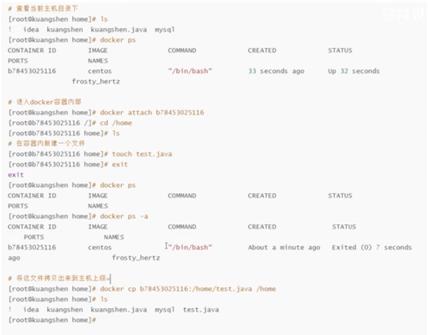 Docker学习（二）狂神说笔记