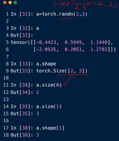 pytorch学习01 基础知识