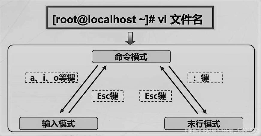 Linux 私房菜————Linux系统基本操作命令(四）|目录结构|查看文件内容|统计文件|检索和过滤|压缩|归档|文本编辑器vi