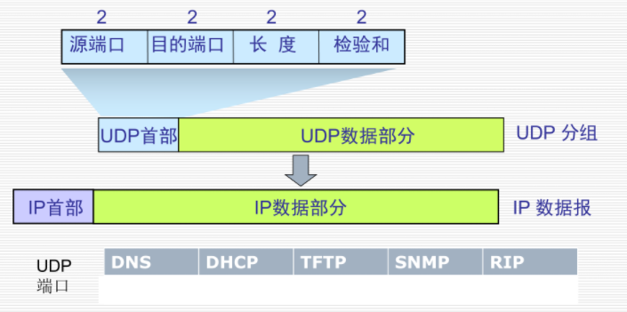 UDP分组格式