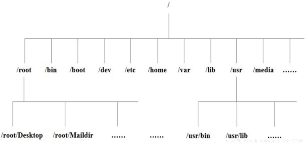 Linux系统的目录树