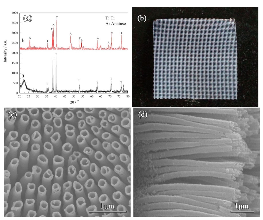用于太阳能水蒸发的分层氮化钛纳米管网的制备和光热转化特性