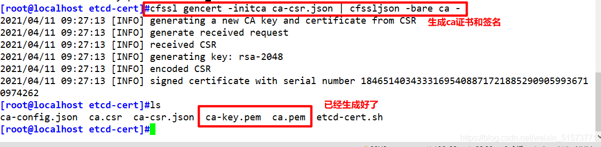 Kubernetes(k8s)部署etcd集群