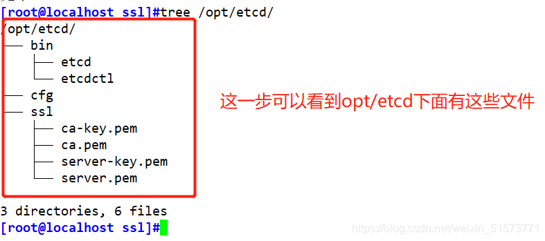 Kubernetes(k8s)部署etcd集群