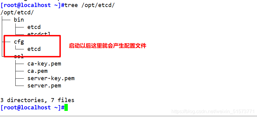 Kubernetes(k8s)部署etcd集群