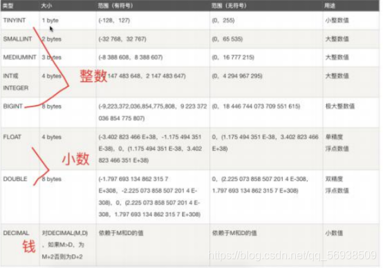 图片来自网络