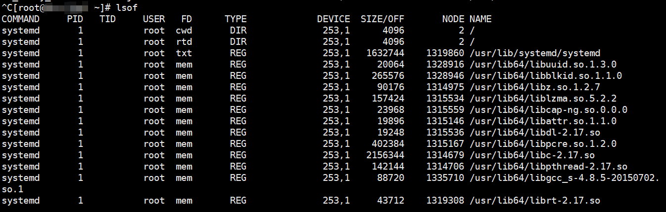 linux之查看进程打开的文件:lsof_linux访问目录的进程lsof ＋d_永远