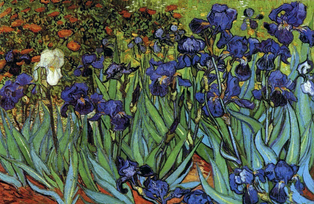 机器学习算法:基于鸢尾花(iris)数据集的数据可视化 (200+收藏)