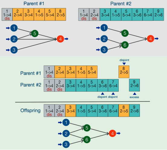 交叉算子