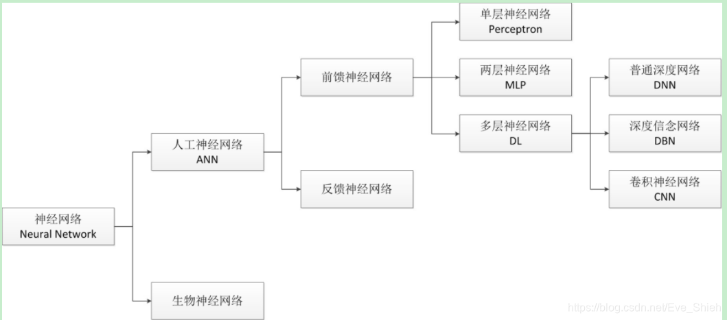 神经网络的类别